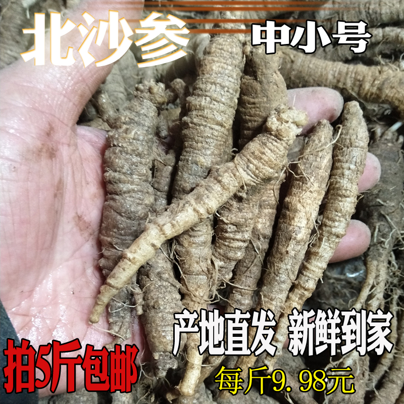 Fresh wild northern sand ginseng 500 grams mountain melon mountain carrot wheel leaf party ginseng South Korean kimchi pat 5 pounds
