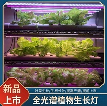 Plant Growth Light LED Red Blue White greenhouse vegetable factory indoor hydroponic leafy vegetable full spectrum T8 fill light tube