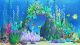 Unity Underwater World Coral Reef Underwater Plant Environment Scene Model Aquarium Fishing Game Decoration