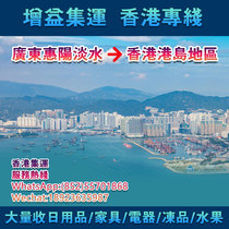 Hong Kong Episode Travel Gain to Express Guangdong Huizhou to Hong Kong Special Line