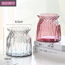 Hydroponic bottle plant transparent glass vase container green radish flower pot raising tank water raising decoration utensil living room simulation