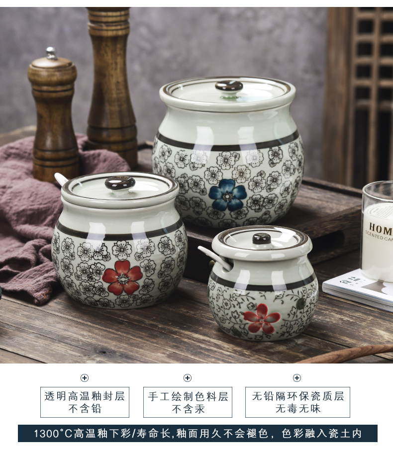 Flavor pot home under glaze color porcelain creative salt shaker Japanese tank sugar pot with spoons suits for seasoning in the kitchen