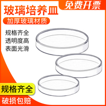 Glass culture dish 60mm75mm90mm120mm150mm biochemical laboratory glass culture dish biological experimental cell bacteria culture dish tissue culture dish