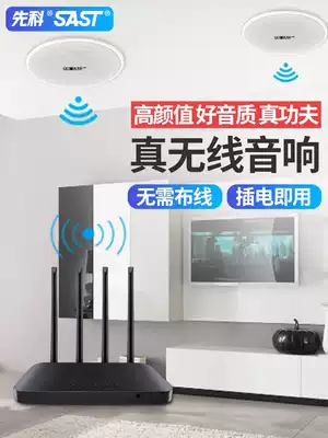 Schenko wireless Bluetooth ceiling audio hanging ceiling 3D surround home speaker ceiling embedded ceiling speaker shop