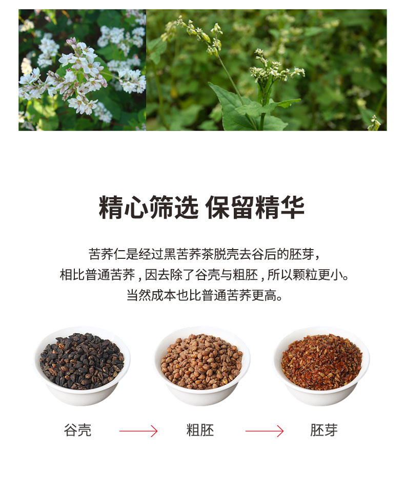 花舞纪家四川凉山黑苦荞茶