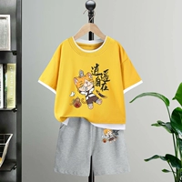 [Одиночный набор] Huang Xiaoyao Cat Black+Grey Xiaoyao Cat Black x