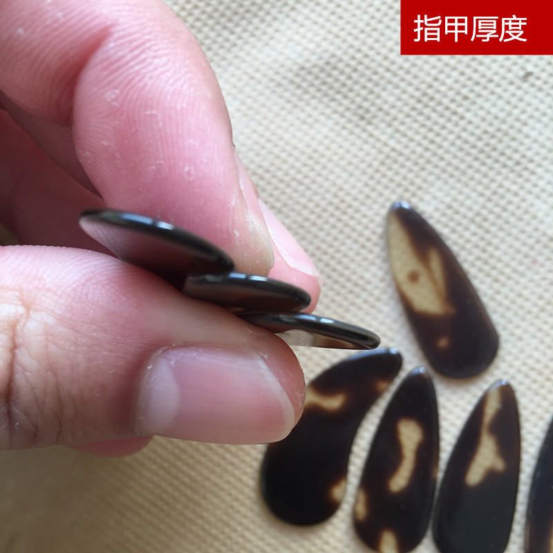 Nhạc cụ đặc biệt phụ kiện nhạc cụ thiếu nhi nhạc cụ guzheng đinh phổ biến đàn guitar giá rẻ thực hành dây đàn