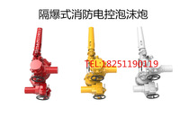 PLKD10 100G flame-proof fire cannon PLKD100EX explosion-proof stationary water foam dual-use remote control gun