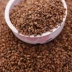 Cassia hoa oải hương kiều mạch vỏ gối Bulk Gối Bulk điền ngọt khử trùng nhiệt độ kiều mạch vỏ - Gối gối cao su Gối