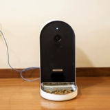 Интеллект PET Intelligent Автоматически регулярно количественный корм для корма для кошачьего корма для собак и кошачьего мониторинга автоматическое кормление