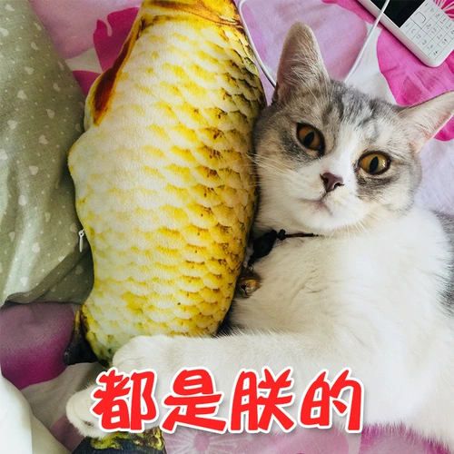 Мятная игрушка, реалистичная подушка для правильного прикуса, котенок, домашний питомец, кот