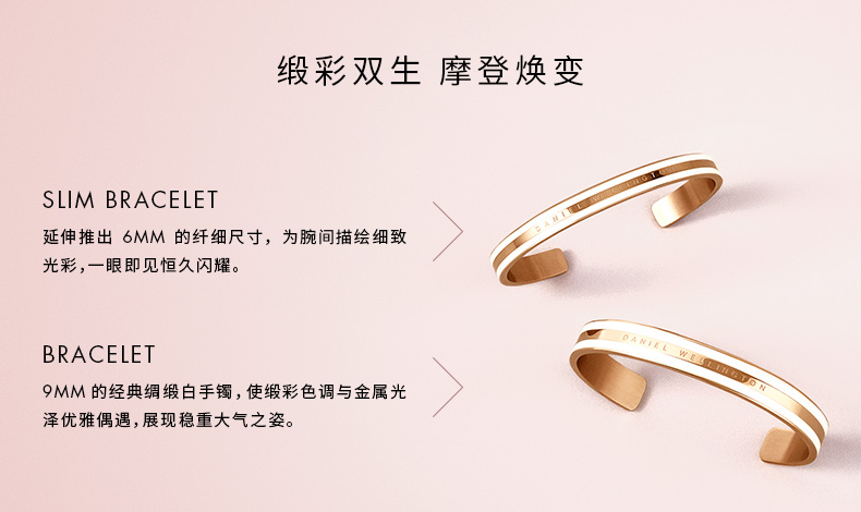 DW 丹尼尔惠灵顿 Bracelet 玫瑰金手镯 图2