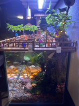 Fish tank landscaping cabin diy handmade custom-made drawings custom-made anti-strip net landscaping