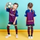 18-19 Эмблема Barsai-Red и Blue-Team