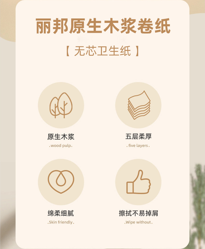 安享好物 安享B级卷纸-丽邦无芯厕纸 国标