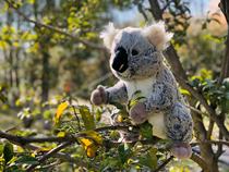 Pro Taire Plush Toys Cora Tree Bag Bear Fur Suede Toy Emulation Animal Paparazzi Doll Long Loncora Doll