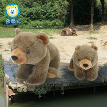 Pro-Till and Zhivet Toys Emulation Brown Bear Paparazzi Wildlife Park Grey Bear Doll Boy Birthday Gift
