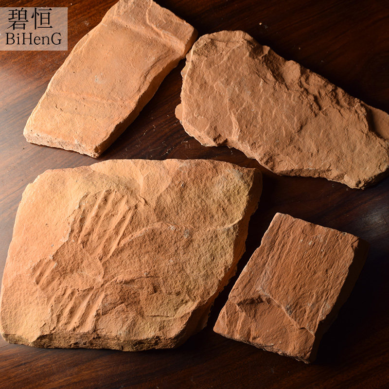 �̺�ŷʽ��ש