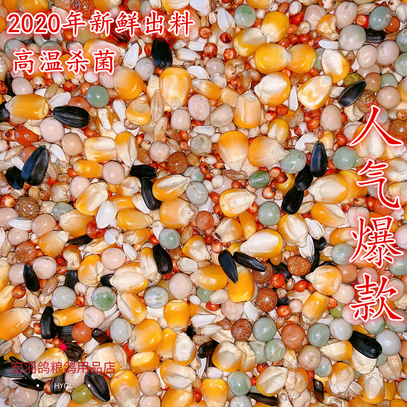 Hongyu pigeon grain health care sand belt corn pigeon food nutrition pigeon food bird food feed 50 Jin only issued Jiangsu, Zhejiang, Shanghai and Anhui