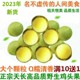 2023 Anhui Tianchang Chicken Head Fruit Erqing First Grade Fresh Shelled Wild Chicken Head Rice Gorgon Rice 500g