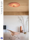 Spanish Vibiatop Designer Round Ceiling Lamp Nordic Minimalist Modern Living Room Bedroom Wall Lamp Halo Lamp