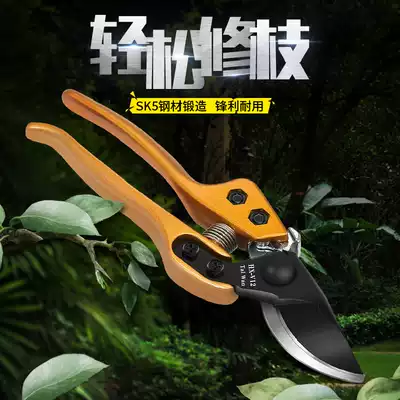 Branch shears Fruit tree pruning scissors flower scissors horticultural pruning branches garden labor-saving Flower Branch scissors household