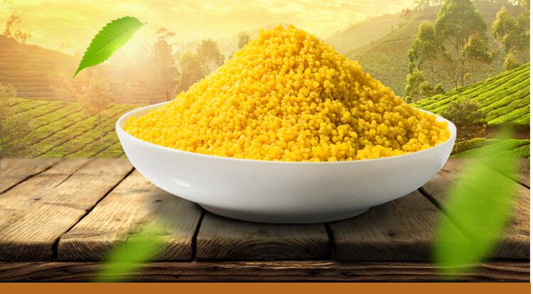Shanxi specialty Qinzhou Huangnong's own millet is not Shaanxi Shandong millet