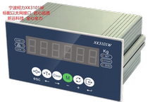 Ningbo Keli XK3101W Ethernet Interface Instrument Network Instrument High Precision Weight Acquisition Instrument