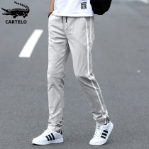 Crocodile winter casual pants men's Korean fashion gray new loose sports slim small foot long pants men's pants