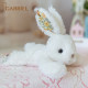 Gabriel Cute Rabbit Plush Toy Doll Sleeping Hug Doll ຂອງຂັວນວັນພັກວັນແຫ່ງຄວາມຮັກ