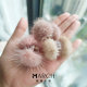 2021 Autumn and Winter New Mink Hair Clips Cute Transparent Small Clips Furry Children's Hair Accessories Furry Clips