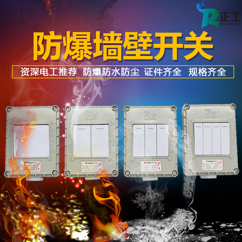 Explosion-proof wall switch single control double control explosion-proof wall switch 220v single open double open five-hole lighting socket empty open