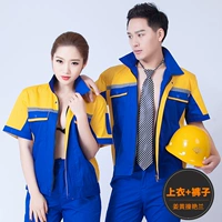 Ян Лан ударил желтый пальто с коротким рукавом