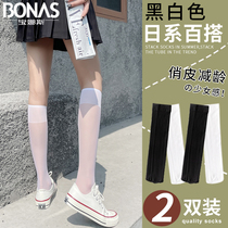 White Calf Socks Woman Summer Thin Jk Socks Spring Autumn Midbarrel Silk Socks Black Long Silo Socks Slim Leg Halfcut