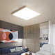 Casual Modern Bedroom Lamp Scandinavian Creative Led Ceiling Lamp Master Bedroom Room Lamp Small Apartment Living Room Study Lamps