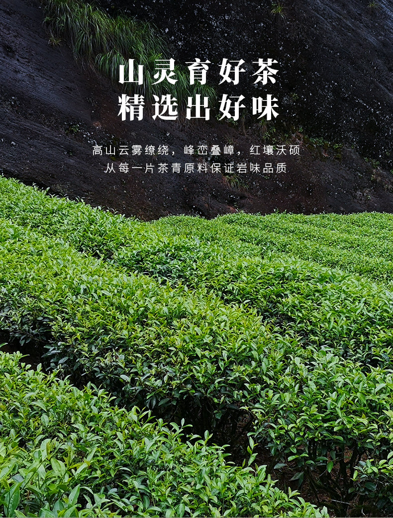 Ruixiang Dahongpao Подробности Page_04.jpg