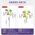 Mô phỏng Hoa Wisteria Hoa nhân tạo Vine Vine Wedding Bean Chuỗi hoa treo Hoa trong nhà Dải hoa Vine trần treo trang trí - Hoa nhân tạo / Cây / Trái cây