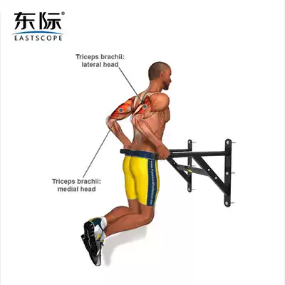Dongji arm flexion and extension double bar wall single and double bar household single and double bar multi-function indoor professional fitness equipment
