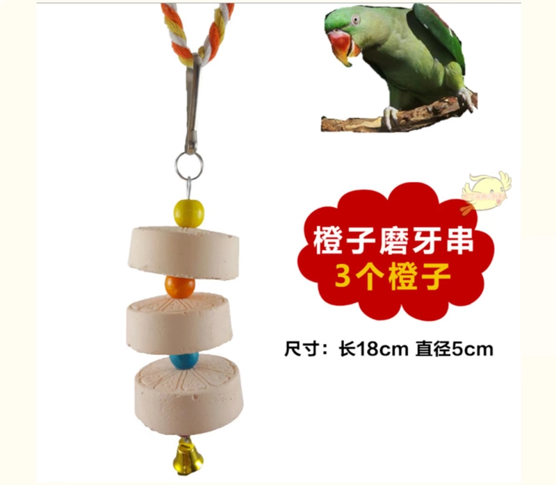 Parrot nibble đồ chơi mol mol bổ sung canxi đá mài Thiết bị Xuanfeng vàng mặt trời chim lồng đồ ăn nhẹ cung cấp xương mực - Chim & Chăm sóc chim Supplies