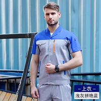 X100 XIA Shun Shoun Light Grey Sere Pinyan Orchid Top