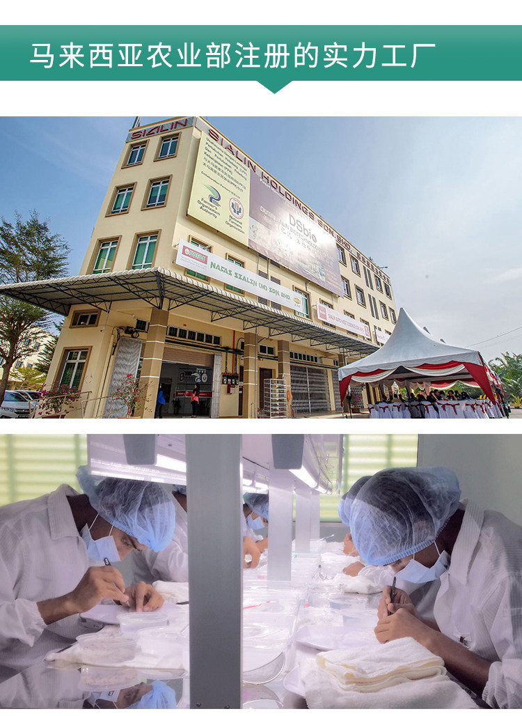 Глотать шелк 50g_16.jpg
