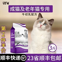 Yidi Cheng Cat Special Gran