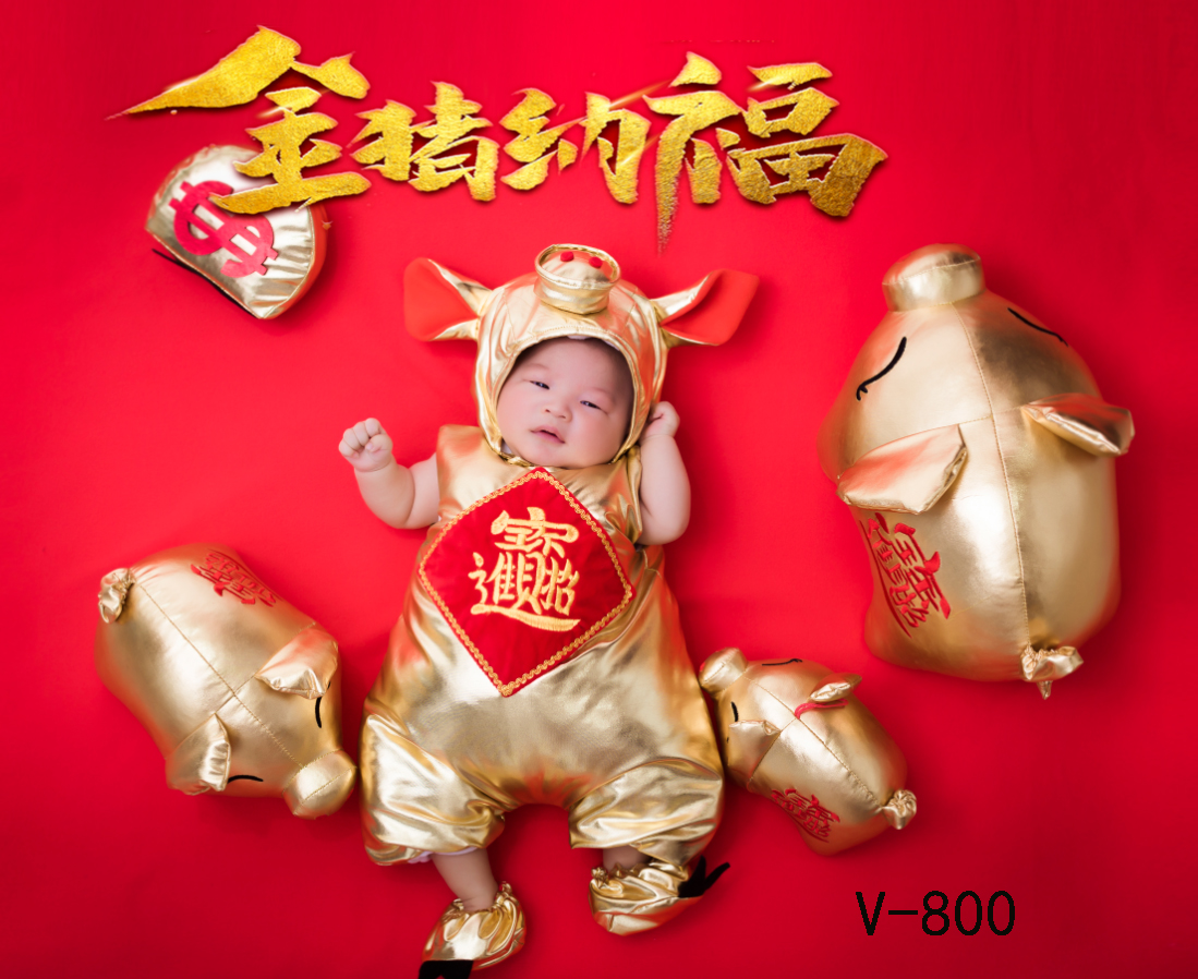 Triển lãm 2019 trang phục trẻ em mới chụp ảnh trang phục lợn vàng mô hình động vật trăm ngày chủ đề ảnh bé thiết - Khác quần áo trẻ sơ sinh cao cấp