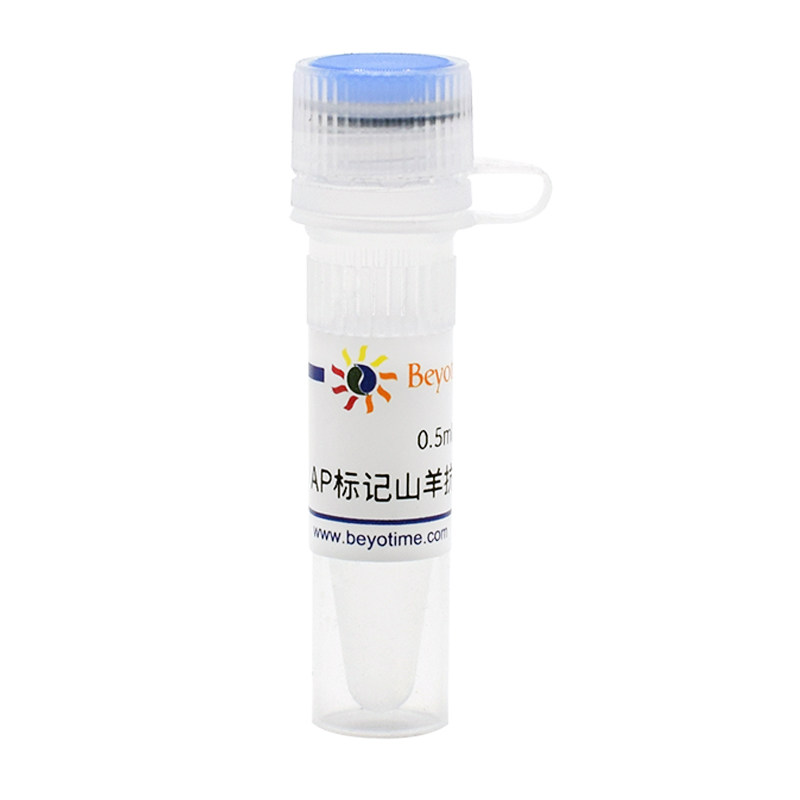 A0239-0.5ml 碱性磷酸酯酶标记山羊抗兔IgG(H+L) 碧云天