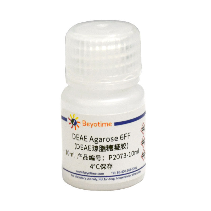 P2073 DEAE Agarose 6FF DEAE琼脂糖凝胶 DEAE阴离子交换树脂填料