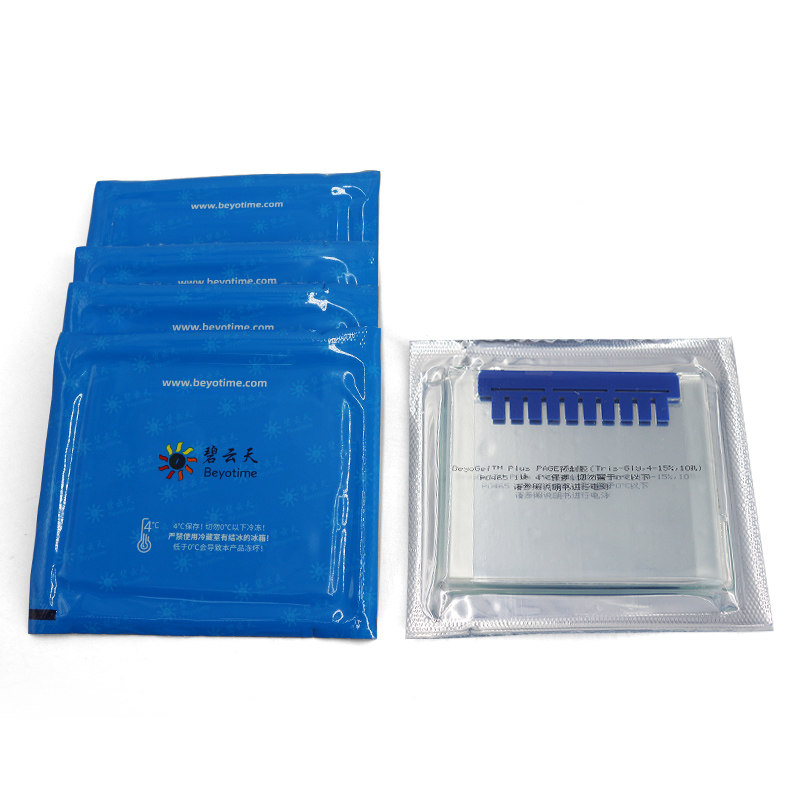 BeyoGel? Plus PAGE预制胶(Hepes, 8%, 10孔) P0505S P0505M