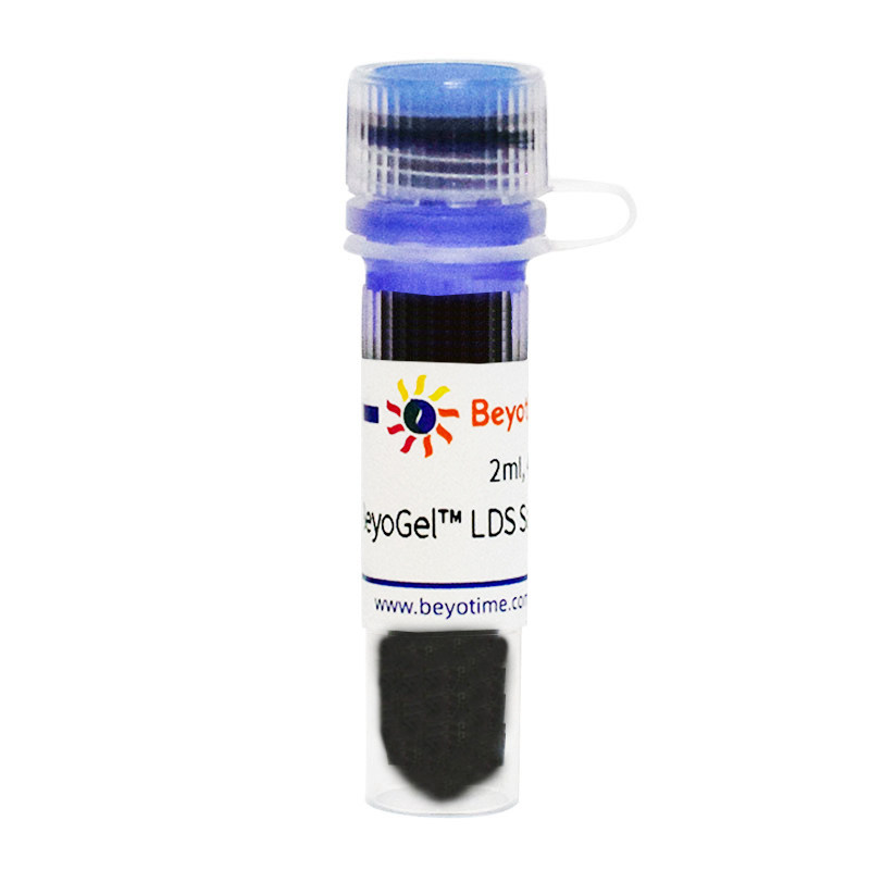 P0731 BeyoGel? LDS Sample Buffer (4X) 碧云天