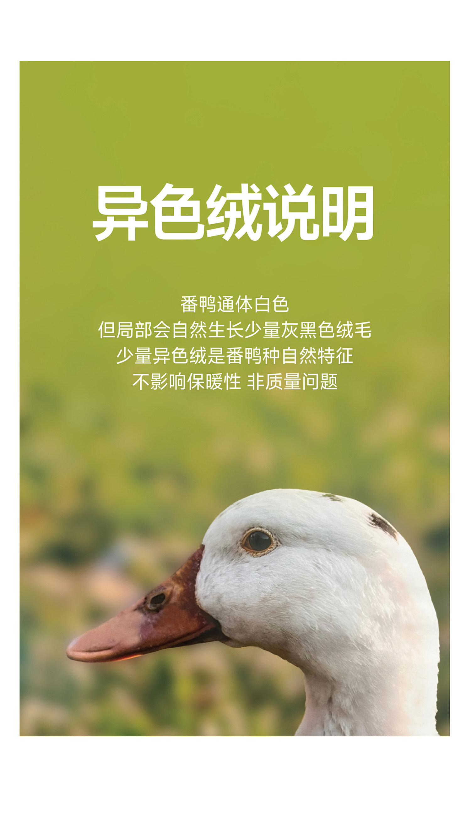 保姆鹅 【风墙】儿童羽绒服宝宝中长款护脸防风保暖童装厚款冬装 — 14
