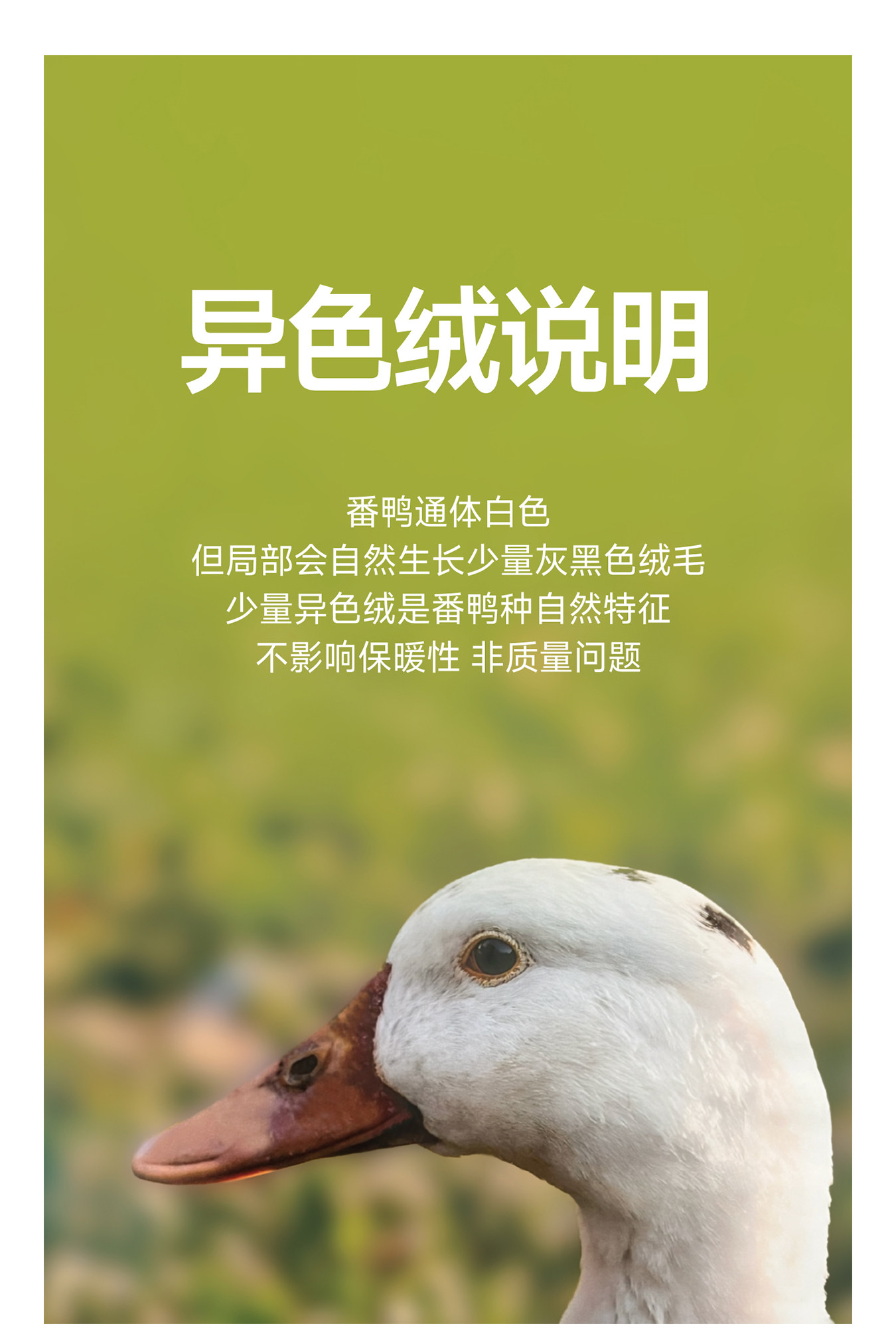 保姆鹅 儿童羽绒服短款连帽保暖中大童超轻柔软舒适薄款外套冬装 — 11