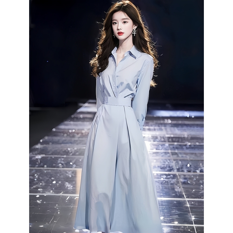 Autumn Clothing for Formal Occasions, Elegant and Sophisticated, Unique and Non-Crowded Styles, Banquet Blue Shirt, Waist-Cinching Dress for Women